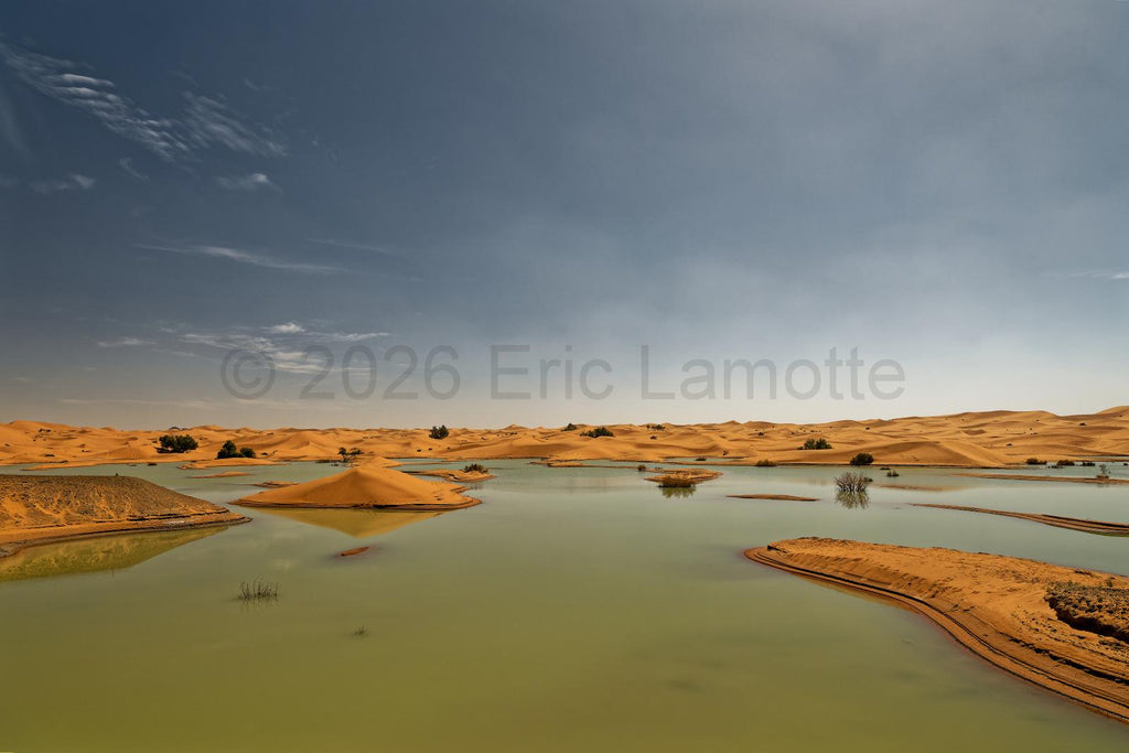Titre : Sahara