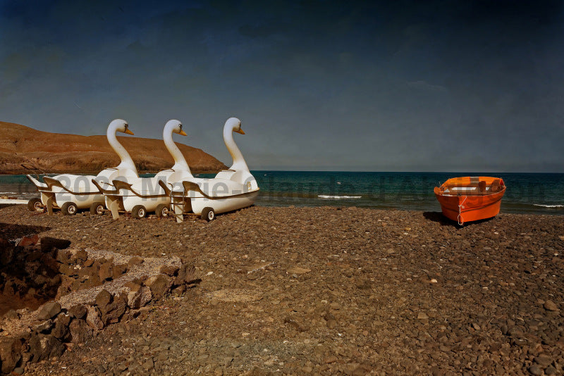" 2 " . Photographe Marie-Claude d'Abrigeon