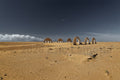 Les Portes du silence . Photographe Eric Lamotte