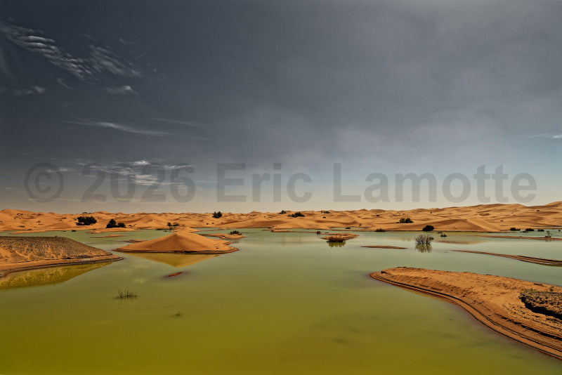 Titre : Le Désert englouti  . Photographe Eric Lamotte