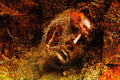 Rouille en Face . Photographe Marie-Claude d'Abrigeon