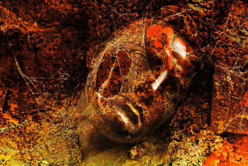 Rouille en Face . Photographe Marie-Claude d'Abrigeon