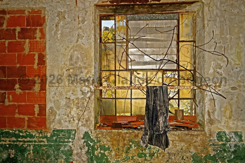 Au Temps Suspendu . Photographe Marie-Claude d'Abrigeon
