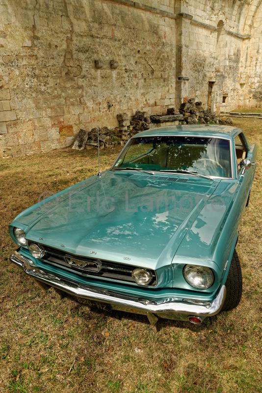 Titre :  Ford Mustang GT / Modèle 1966